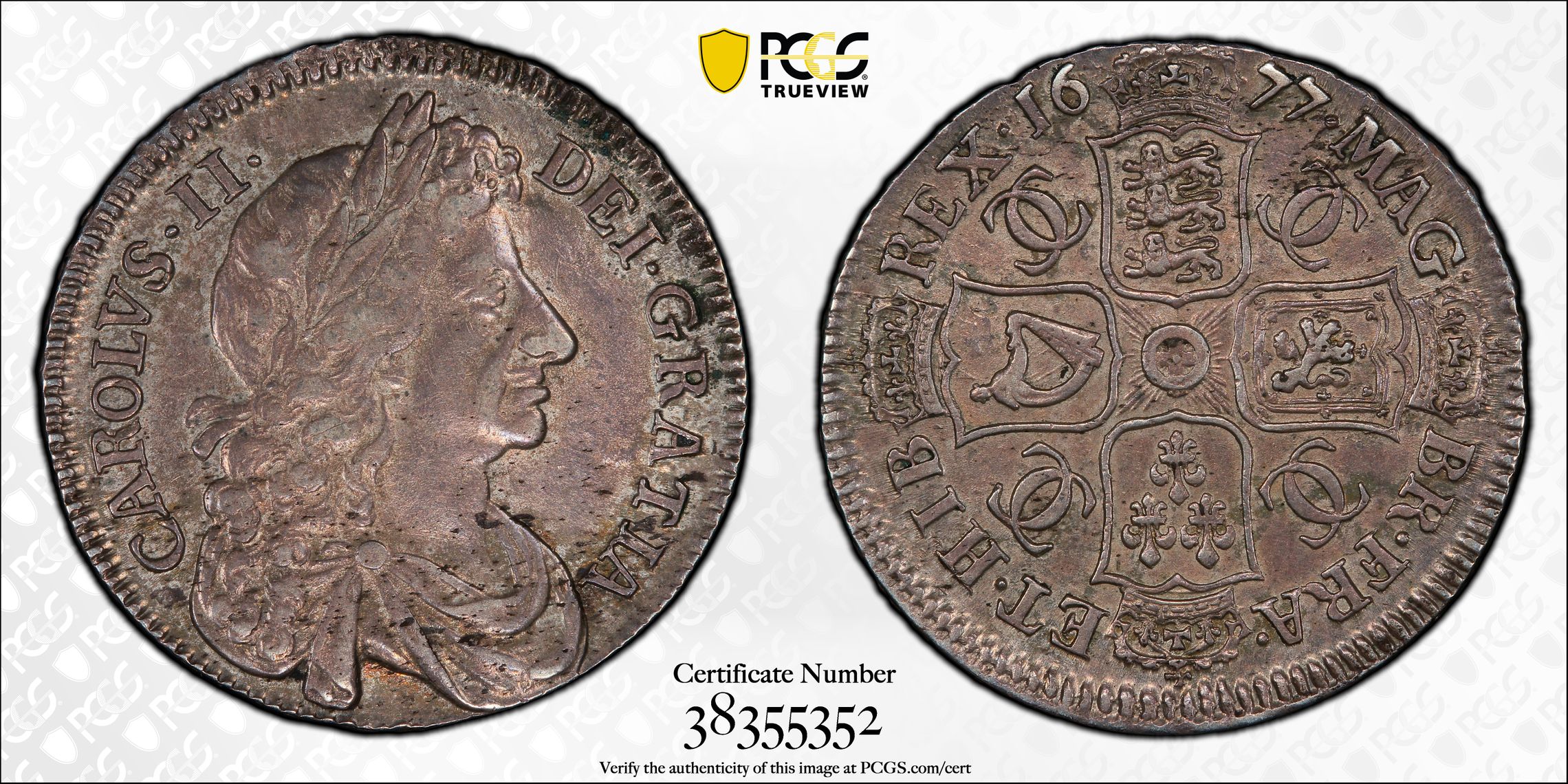 GB008 Rare 1677 Great Britain 1/2 Crown Long Mint