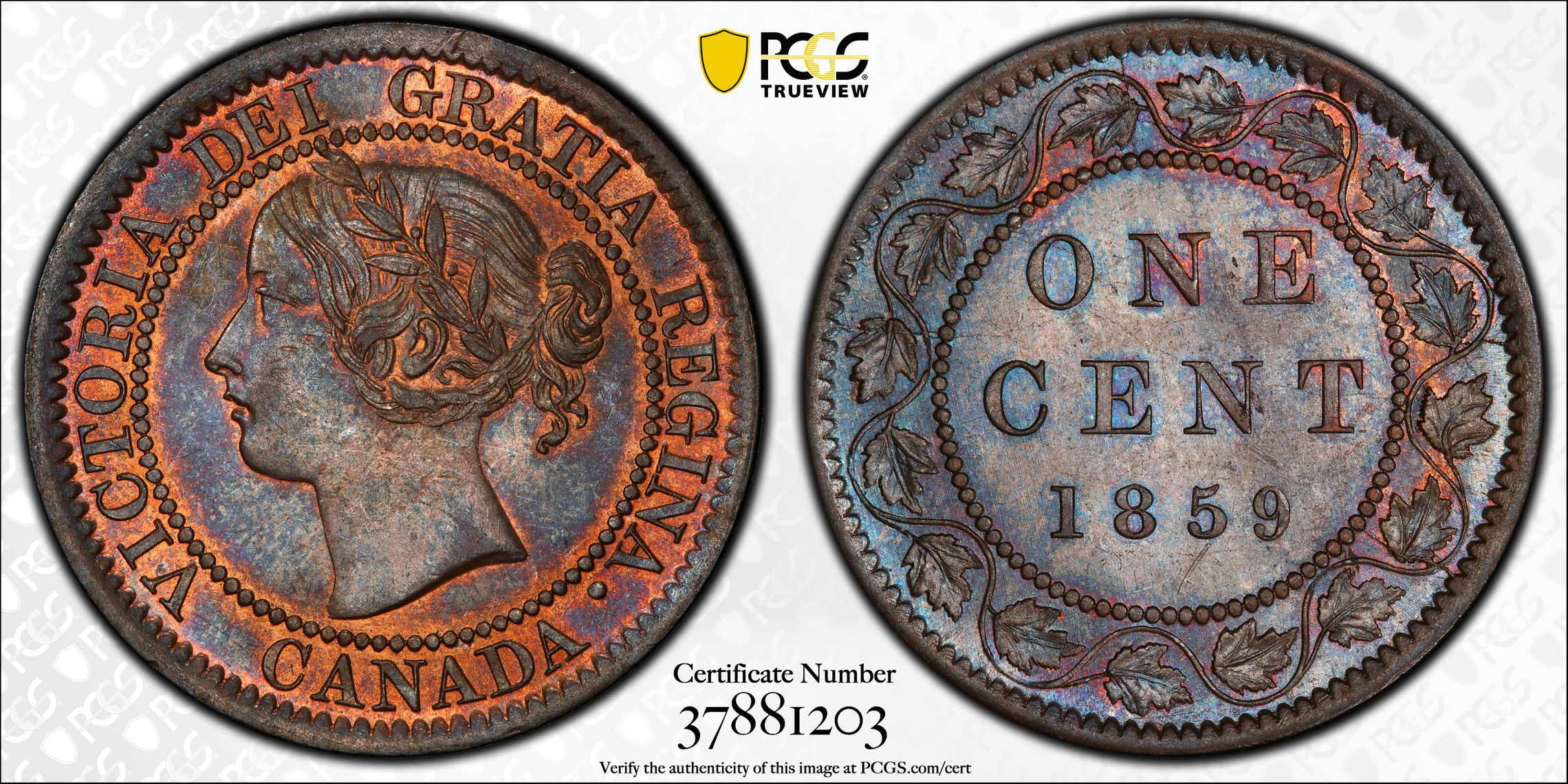 C001 1859  Canada Repunched "5" Cent.  PCGS MS62 BN