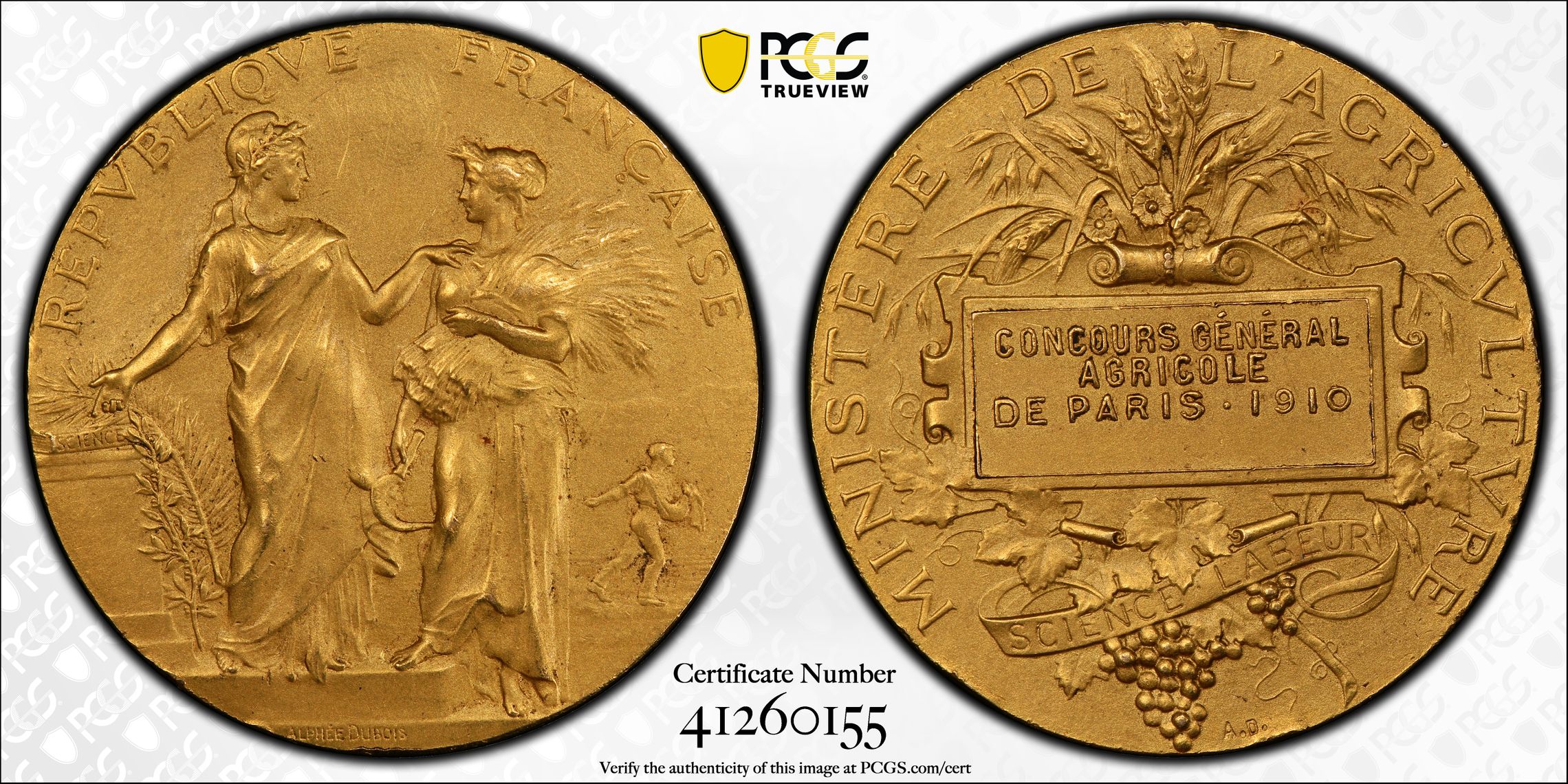 G053 FRANCE. Paris Agricultural Show Gold Award Medal, 1910. Par