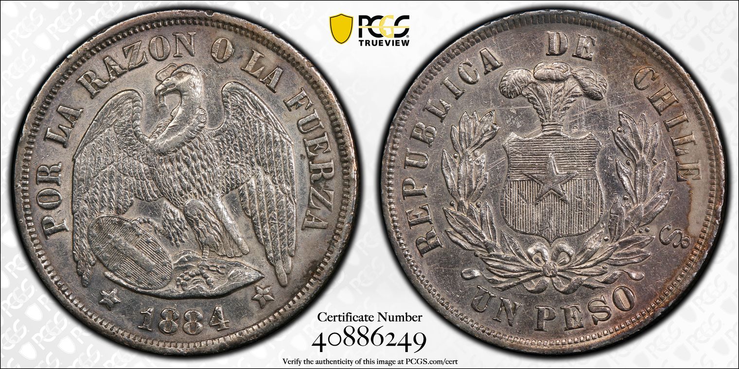 O016 1884-so Chile Peso PCGS AU Details - Damage